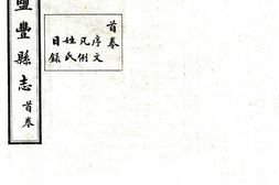 云南–盐丰县志(民国)-国图 PDF电子版下载