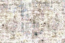 天津–武清县城乡总册(光绪)-国图 PDF电子版下载