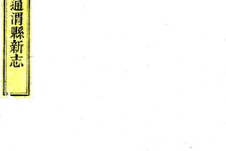 甘肃–重修通渭县新志(光绪)-国图 PDF电子版下载