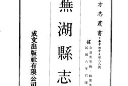 安徽–芜湖县志(1)-成文出版 PDF电子版下载