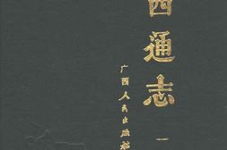 (嘉庆)广西通志(全十册点校本) PDF电子版下载