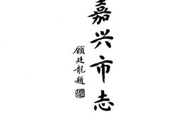 嘉兴市志-中 PDF电子版下载